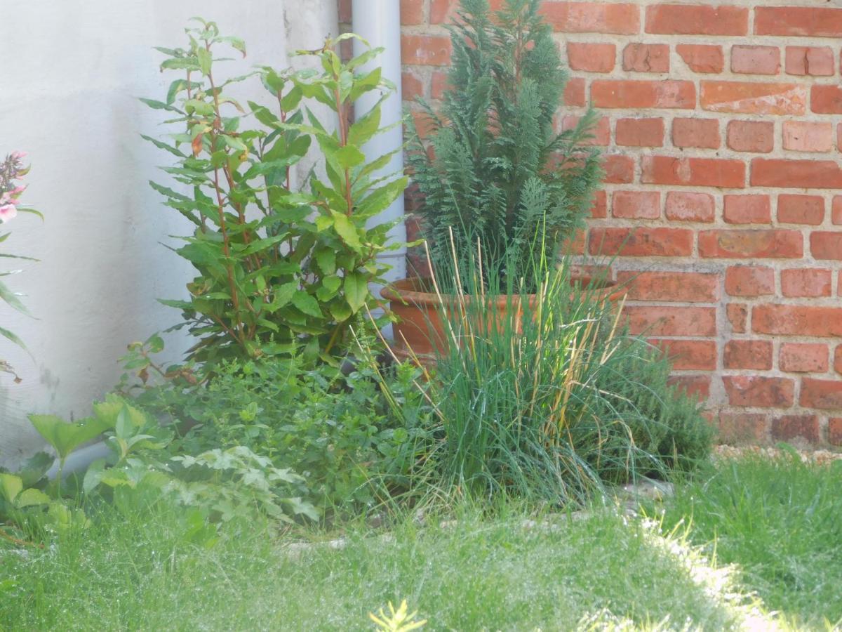 Vakantiewoning Louis Mechelen Buitenkant foto